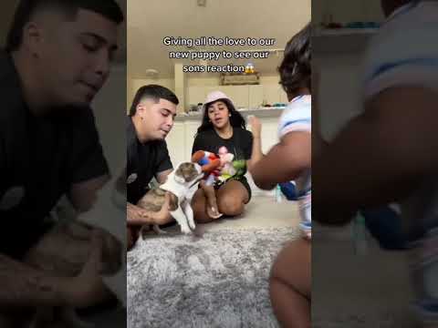 Our son gets jealous of our new puppy🥺 #shorts
