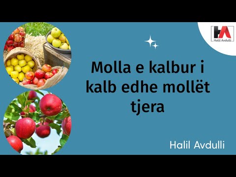 Molla e kalbur - Halil Avdulli