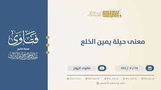 معنى حيلة يمين الخلع  - الشيخ عبدالرحمن البراك  (10244) image