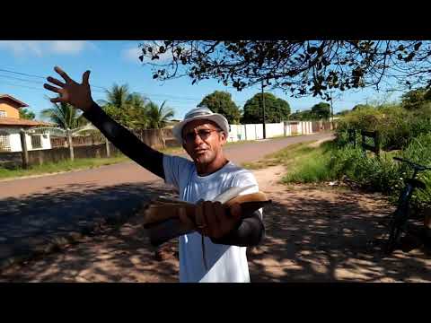 O contador de sonhos genesis 37.8