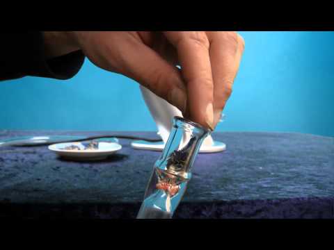 VapoShop: Silver Surfer Vaporizer