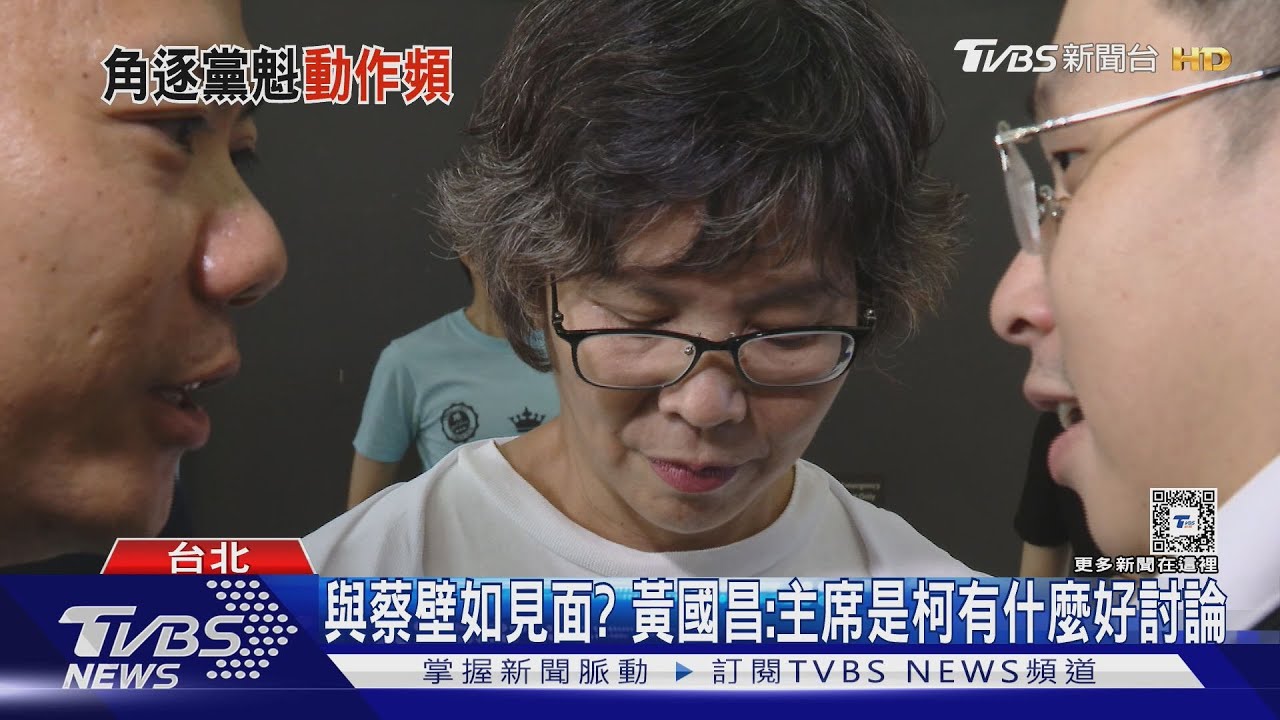 辭職選中央委員! 蔡壁如:已和盧秀燕當面溝通