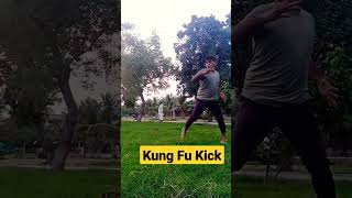 Kung Fu Kick/ Martial Arts/ Fitness/ Training/ Wus