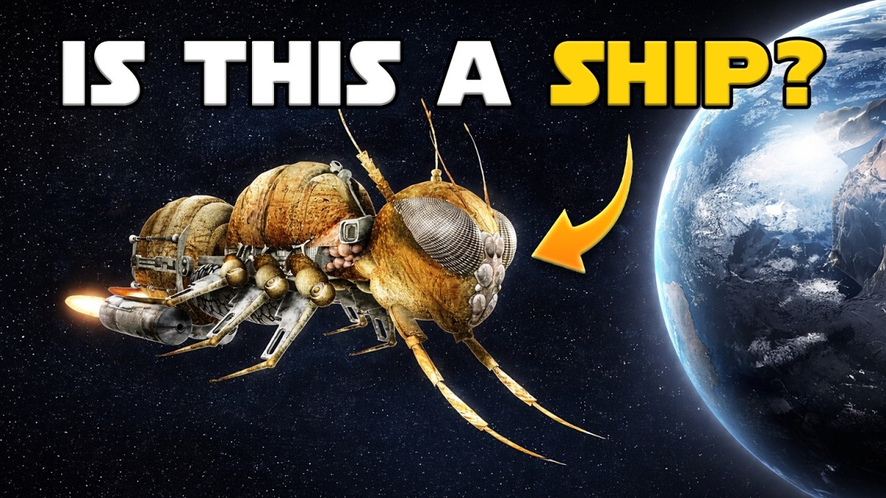 The STRANGEST Star Wars Ships You’d Actually Want to Live In!