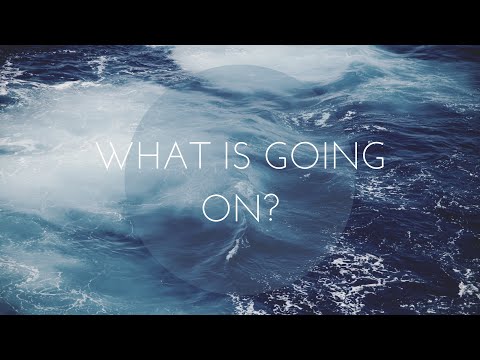 Rain or Something Else?  Attempted Exodus and Trying to Fix Conditions #redwigglers (read below)