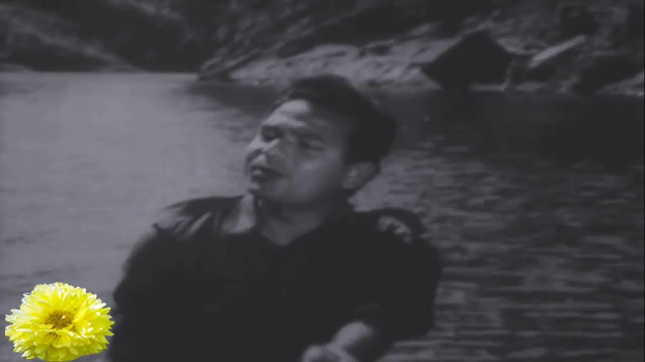 Yea mousum yea mast nazare, Film  Darshan,