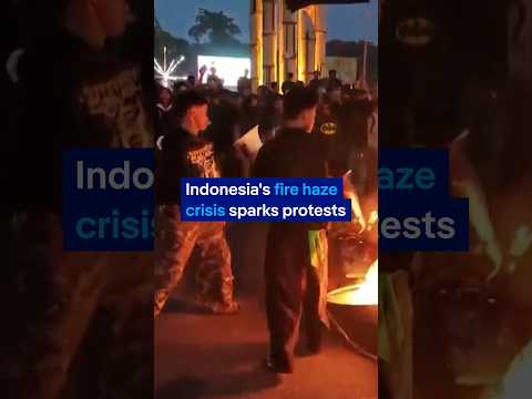 Students clash with police over Indonesia's haze crisis | DW News