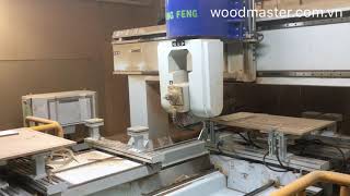 MÁY GIA CÔNG GỖ TRUNG TAM CNC 3 D 5 truc axis