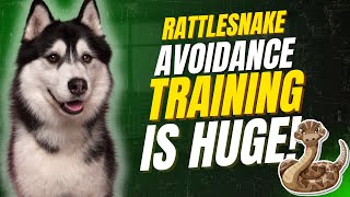 Attn: Pro Dog Trainers-- Rattlesnake Avoidance Training Is Huge!!