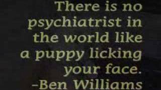 dog philosophy Video