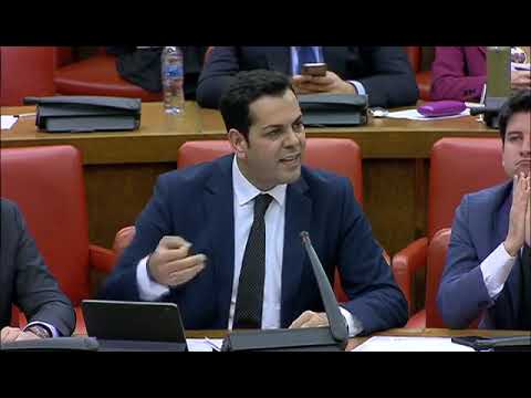 Juan Diego Requena durante la Comisión de Transición Ecológica y Reto Demográfico del Congreso