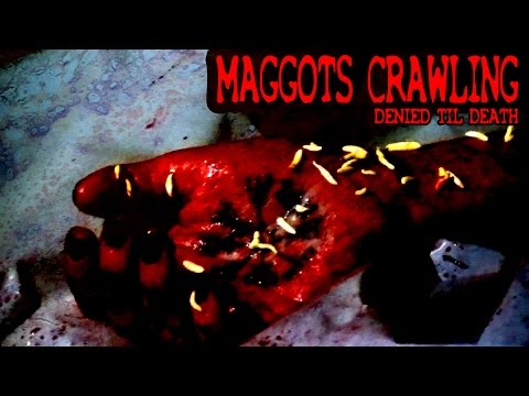 Maggots Crawling - Official Music Video