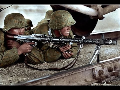 German 5th  Panzer Wiking Division 1941-1945