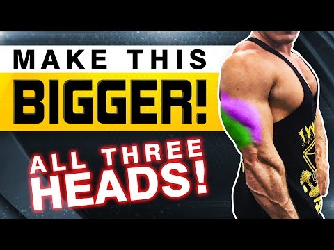 Muscular Strenght Title