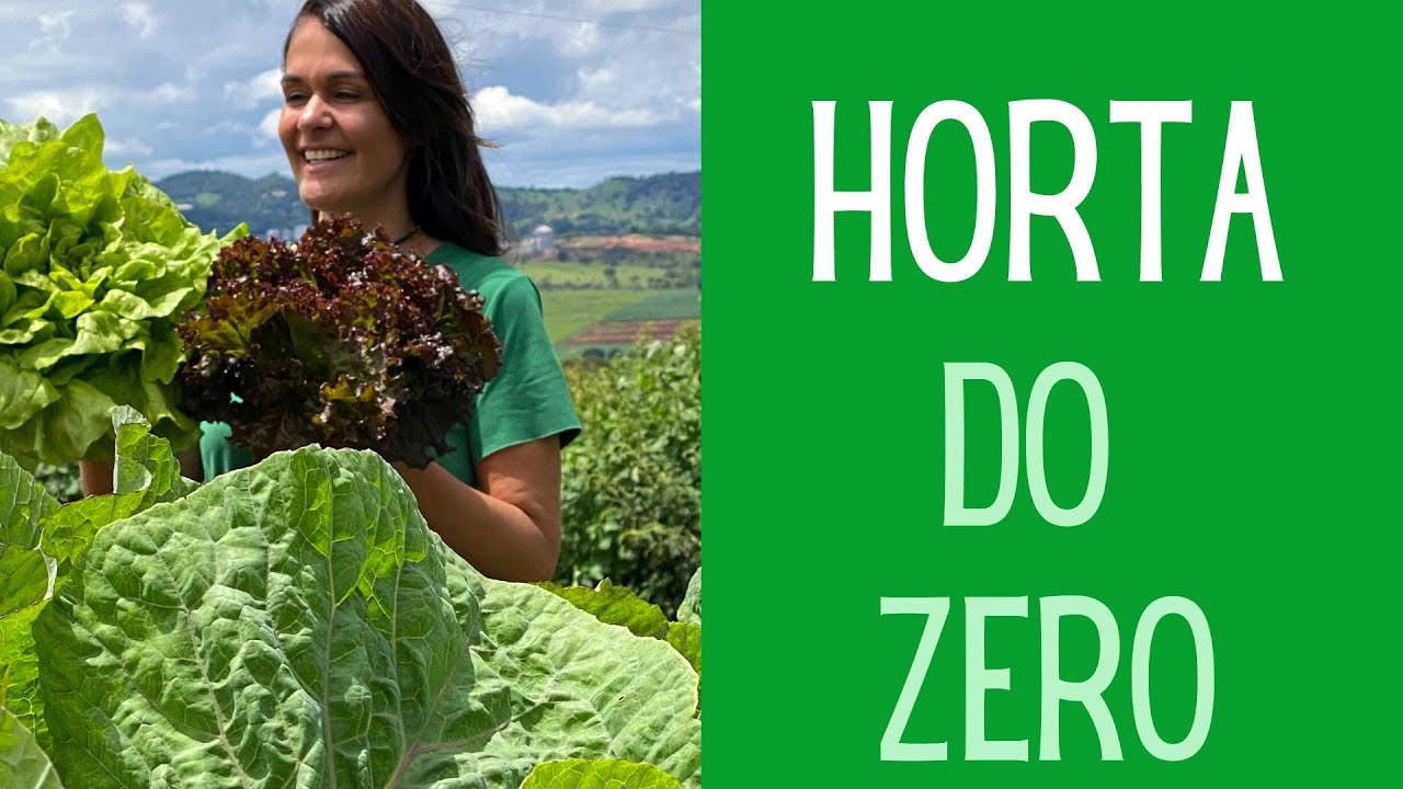 HORTA: Aprenda todo o passo a passo de iniciar uma horta em casa