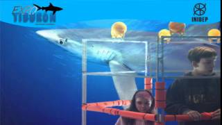 DIA 2 Expo Tiburon229