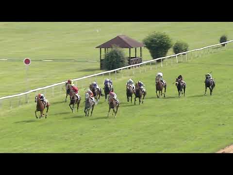 6. dostih - Cena Nadace města Karlovy Vary - dostihy Karlovy Vary 25. 7. 2021