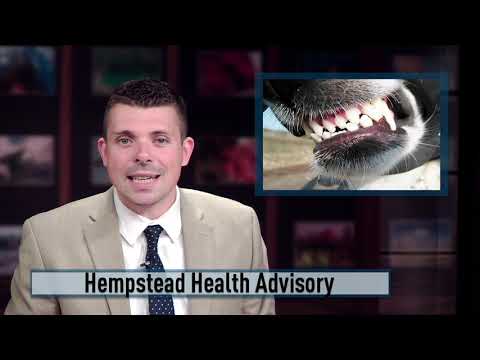 Long Island Health Advisory