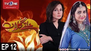 Jaltay Gulab | Episode 12 | TV One Drama | 21st November 2017