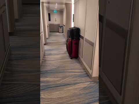 Thumbnail for Ending a transatlantic cruise on the Sun Princess cruise ship