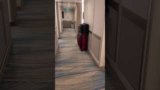 Ending a transatlantic cruise on the Sun Princess cruise ship