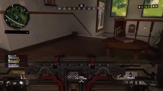 ブラックアウト　COD bo4