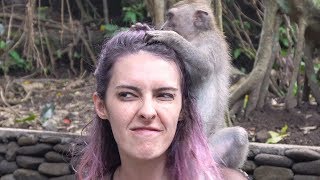 ATACADA POR MACACOS - Karen Bachini