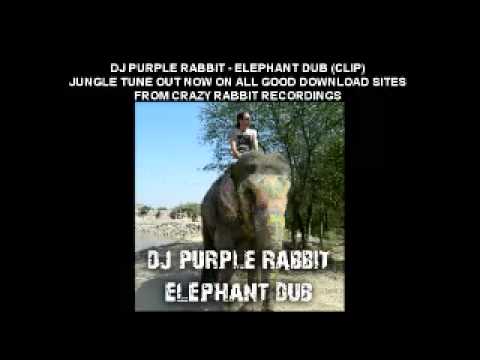 DJ Purple Rabbit - Elephant Dub, Jungle out NOW on Beatport and Junodownload !!