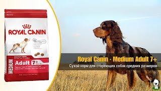 Royal Canin Medium Adult 7+ 15 кг (3005150) - відео 1