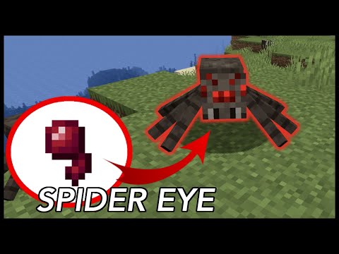 How To Use Spider Eye In Minecraft