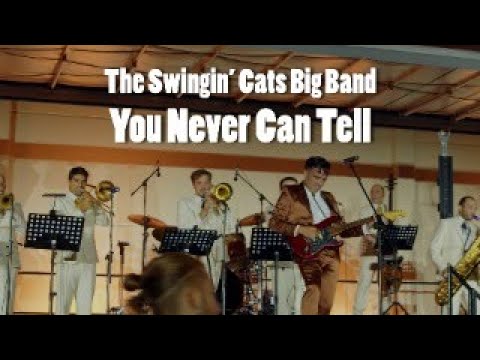 The Swingin' Cats Big Band - You Never Can Tell | Featuring @George_Zervos