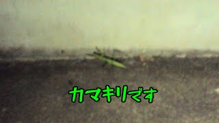 今日の一枚