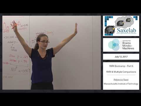 fMRI Bootcamp Part 8 - fMRI & Multiple Comparisons