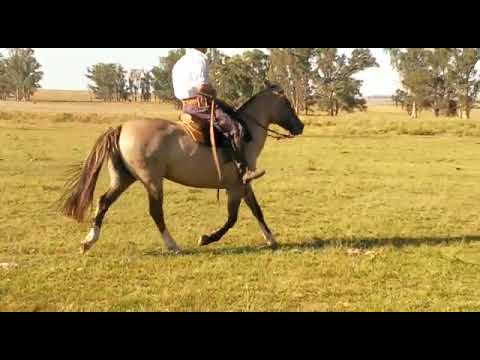 Lote BAQUETA RETOBADA