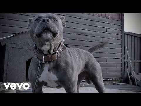 TUK, BNAST - Be Shit