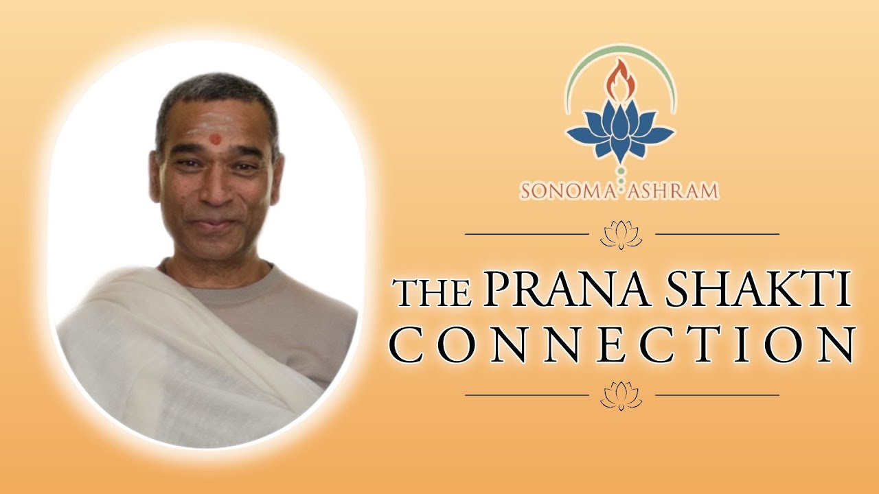 The Prana Shakti Connection