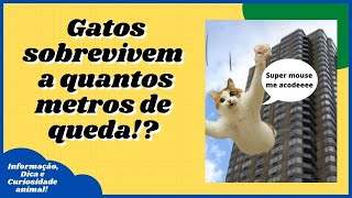 [Veja Dicas, Curiosidades e Informaes Sobre Animais de Estimao] #shorts