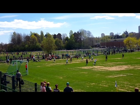 LePa P07 musta - Honka