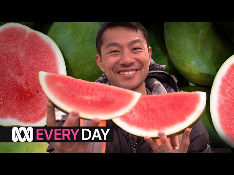 Watermelon myths put to the test – choosing the perfect watermelon | Everyday Food | ABC Australia