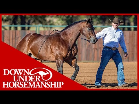 Clinton Anderson: How to Begin Liberty Work at the Ranch Rally - Downunder Horsemanship