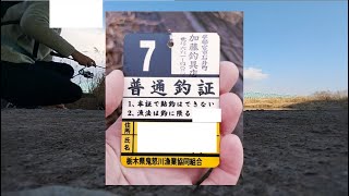 真冬は厳しいということが確認できました…　2025年1月