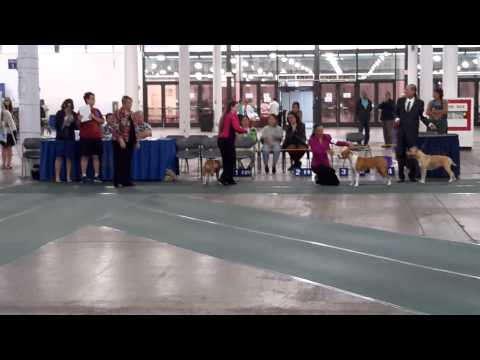 GOMES     PIKO TAKING RESERVE