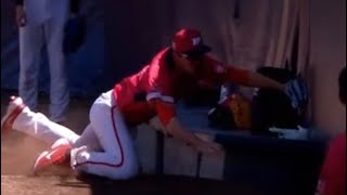 [分享] 陳品捷追球遭室外牛棚絆倒撞牆