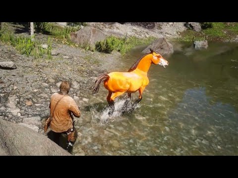 Arthur trying  to catch a Fox 🦊 Horse - Red Dead Redemption 2 Gameplay