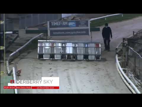 Elderberry Sky - BGBF British Bred Derby - Heat 2