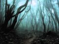 Empyrium - The Franconian Woods In Winters ...