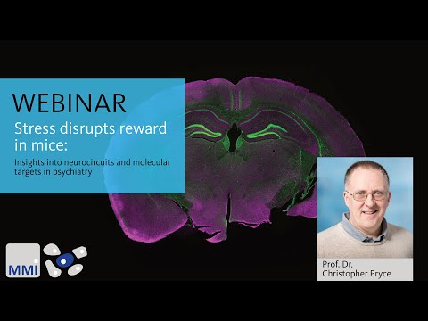 [Webinar] Stress disrupts reward in mice