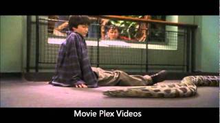 Harry Potter At The Reptile House