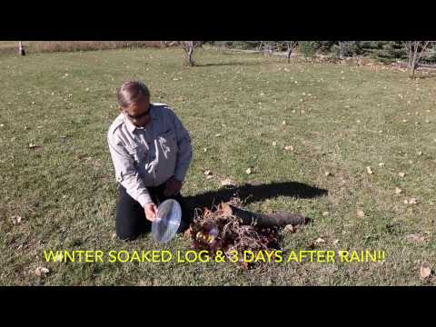 The Solar Fire Starter -- Fire in Seconds