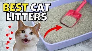 The Best Cat Litters of 2025, According to Experts